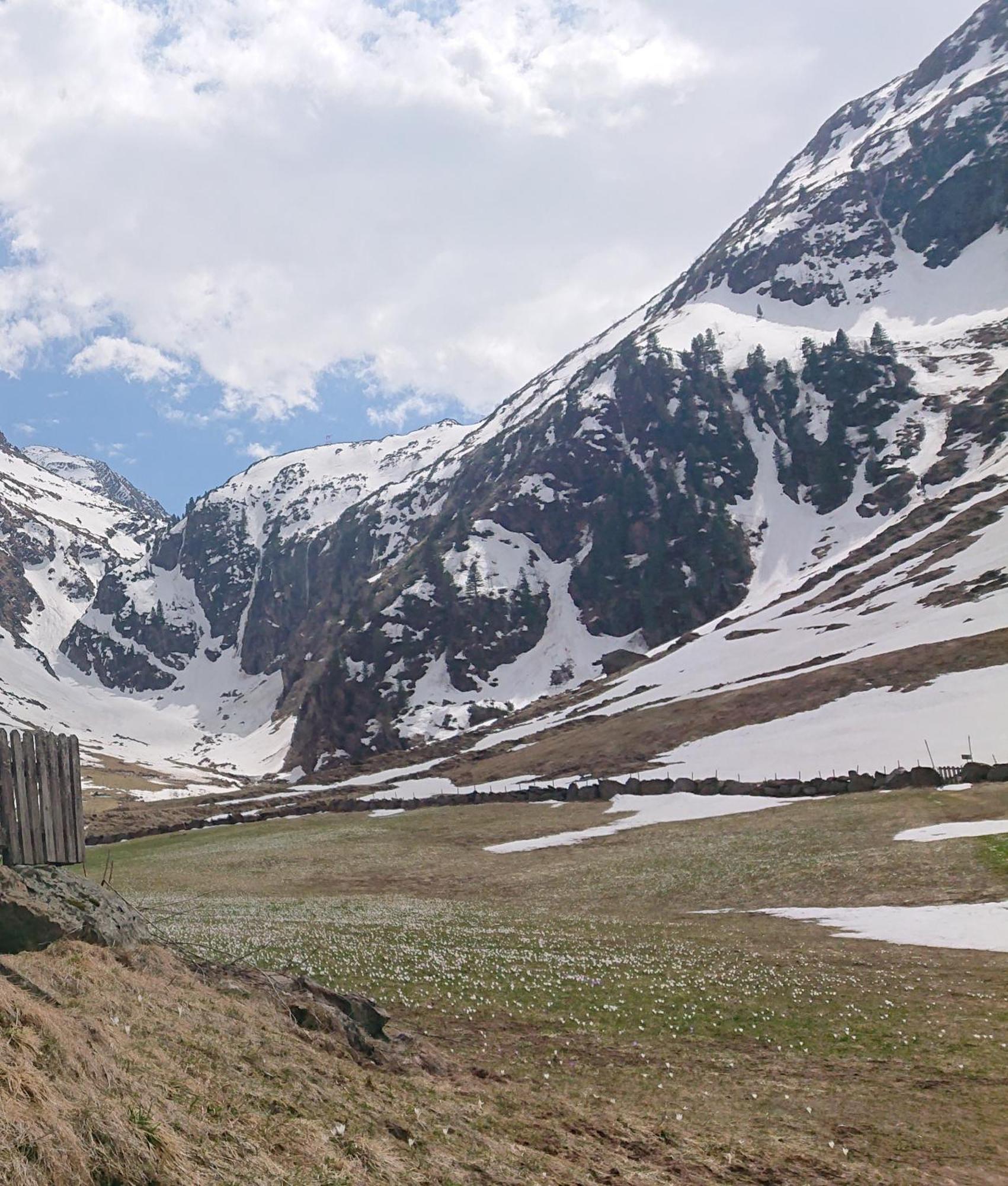 Landhaus Susanne Neustift im Stubaital Kültér fotó